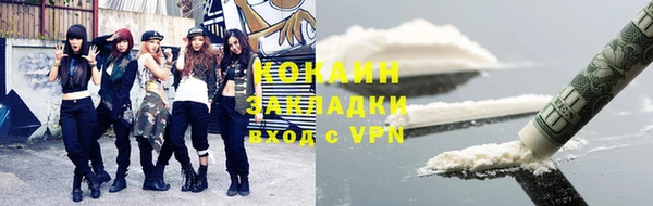 индика Белокуриха