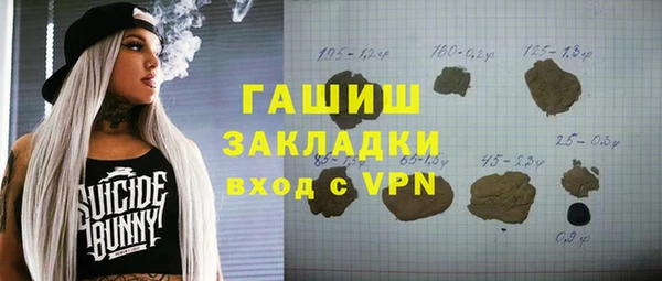 индика Белокуриха