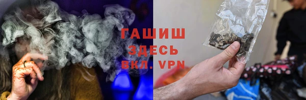 индика Белокуриха