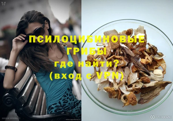индика Белокуриха