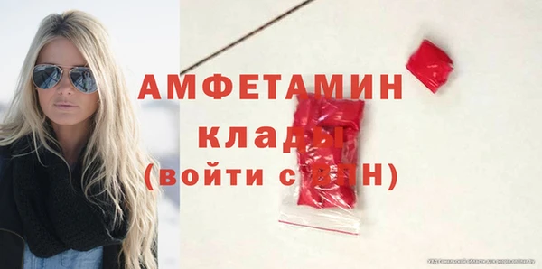 первитин Бикин
