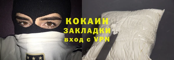 индика Белокуриха