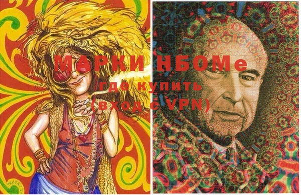 индика Белокуриха
